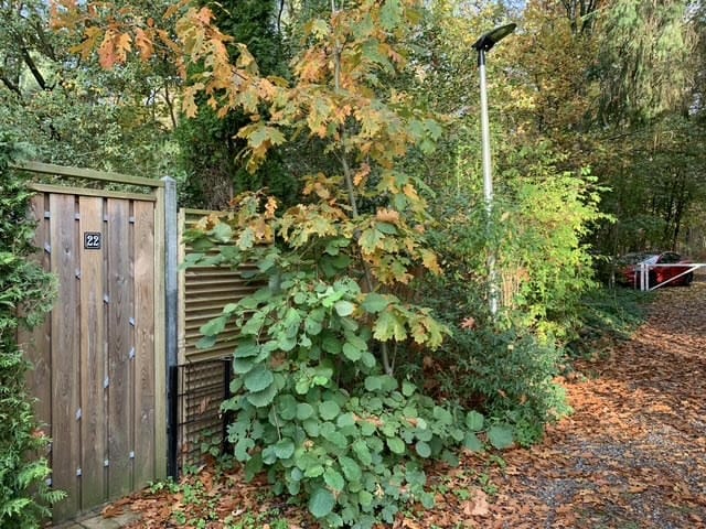 Foto 12 van Vogelzang Veldweg 23-22