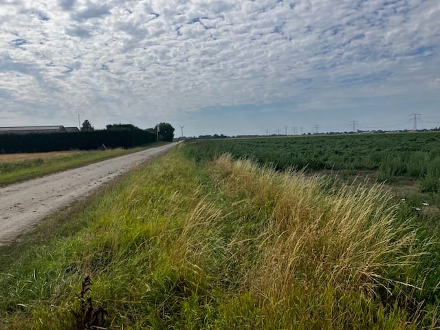 aan de Nieuwe Zinkweg en Zinkweg - Oud-Beijerland - Afbeelding 5