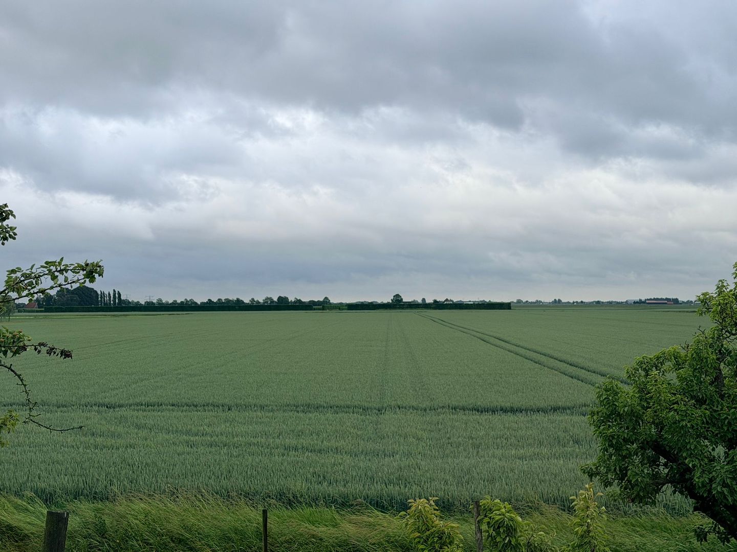 aan de Nieuwe Zinkweg en Zinkweg - Oud-Beijerland - Afbeelding 7