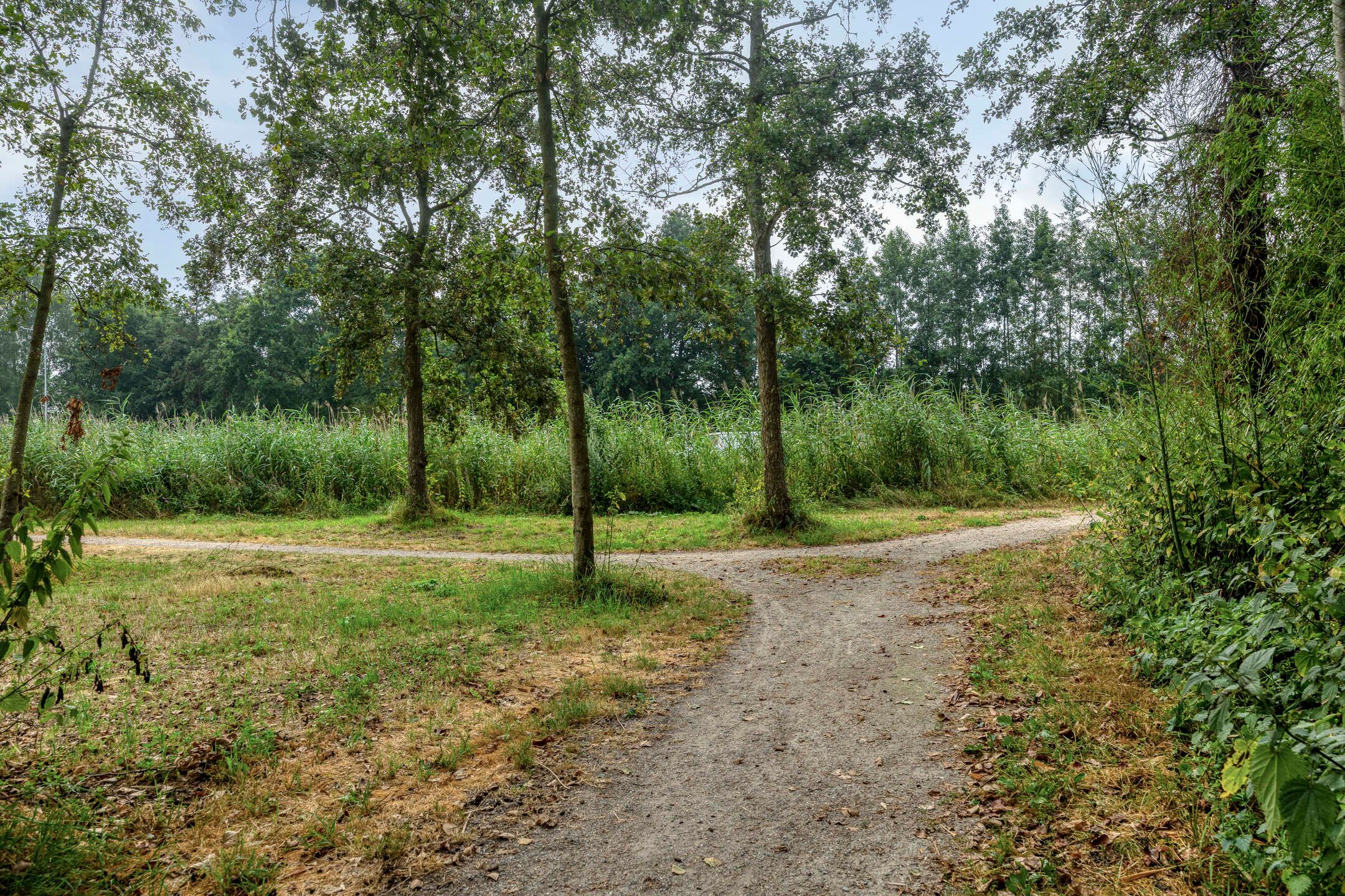 Foto 36 van Heijtsveld 227