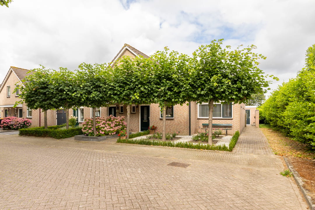 Foto 52 van Adriaan van Ostadestraat 17