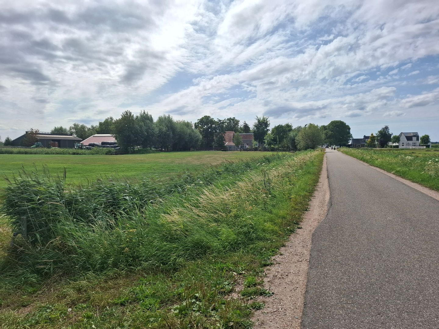 Botsholsedwarsweg - Waverveen - Afbeelding 5
