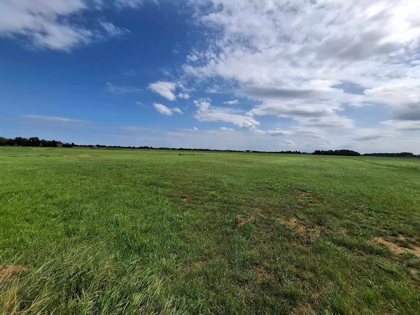 Botsholsedwarsweg - Waverveen - Afbeelding 7