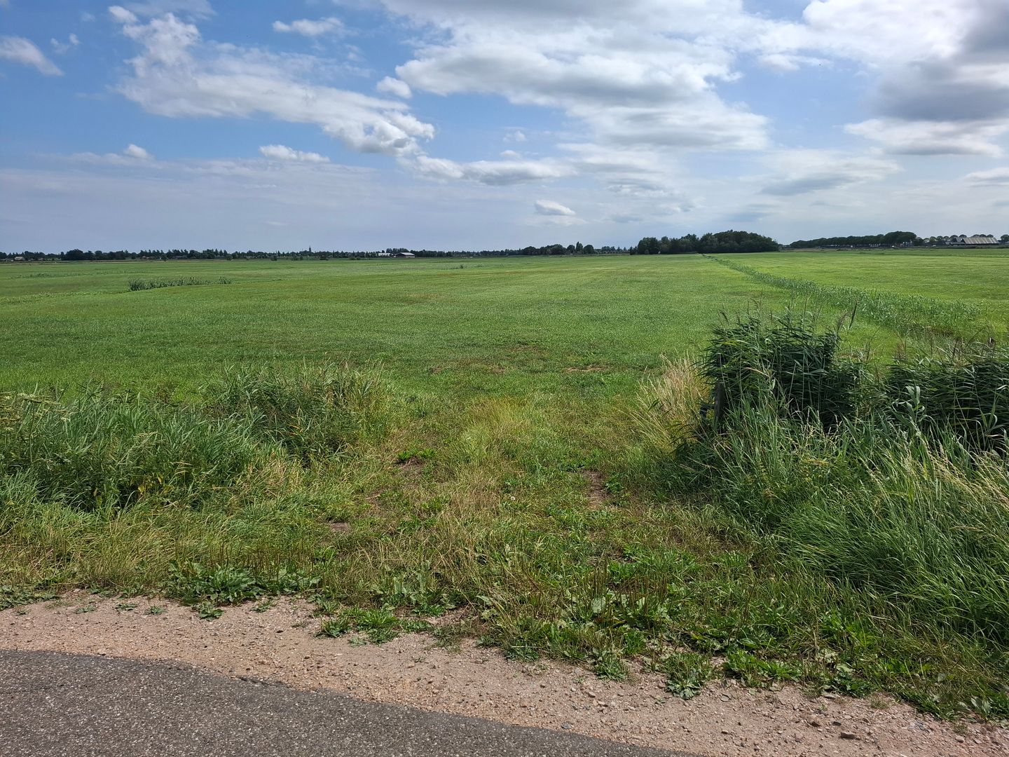 Botsholsedwarsweg - Waverveen - Afbeelding 6