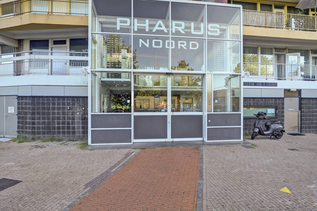 Foto 7 van Pharus 71