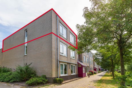 Clusiusstraat thumbnail