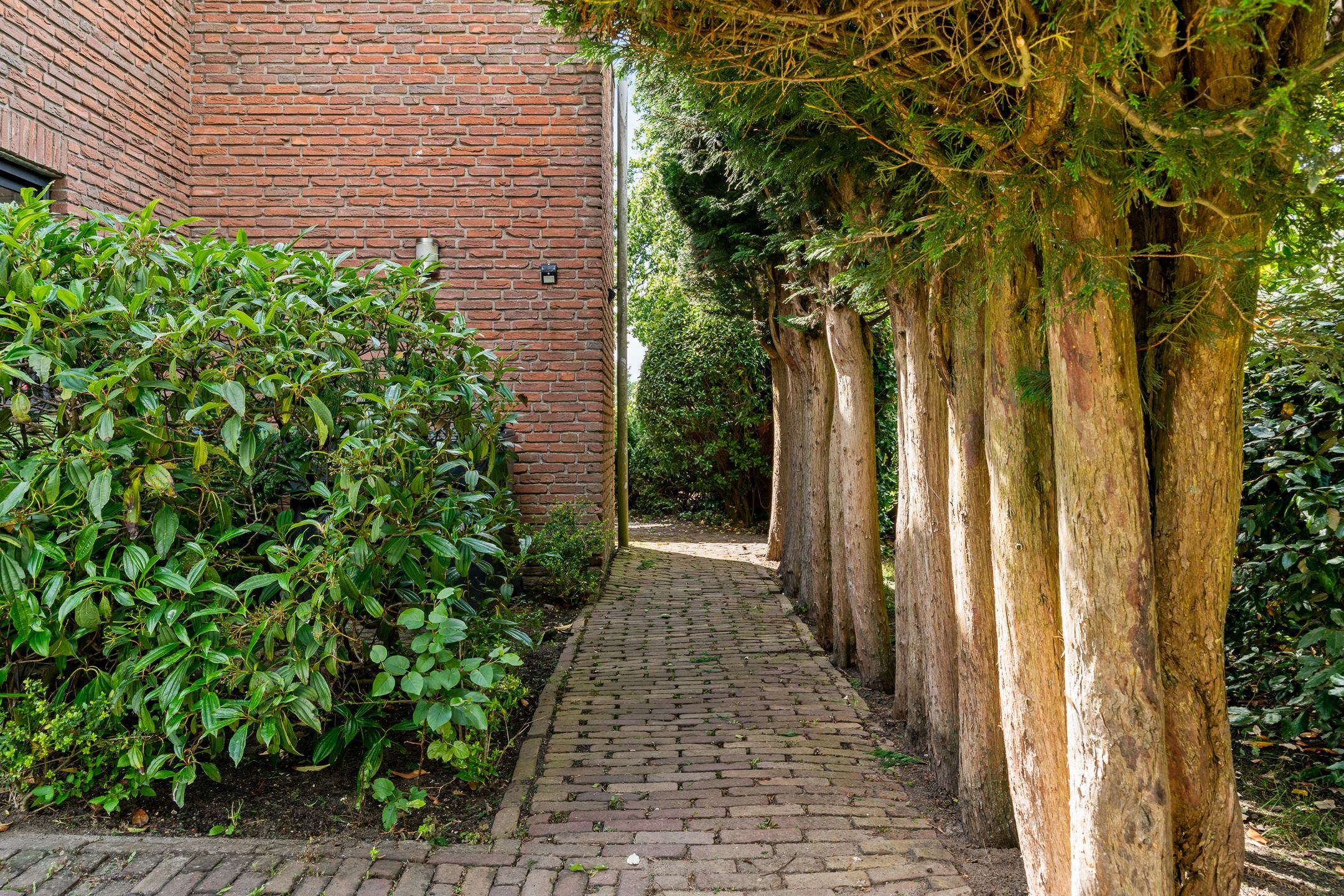 Foto 45 van Oxfordlaan 1