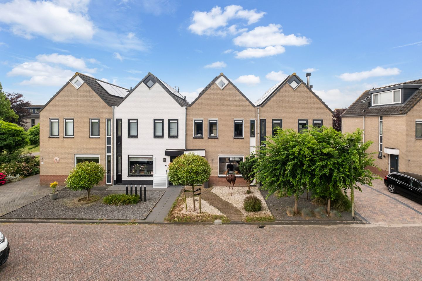 Foto 1 van Rijnse Gulden 11