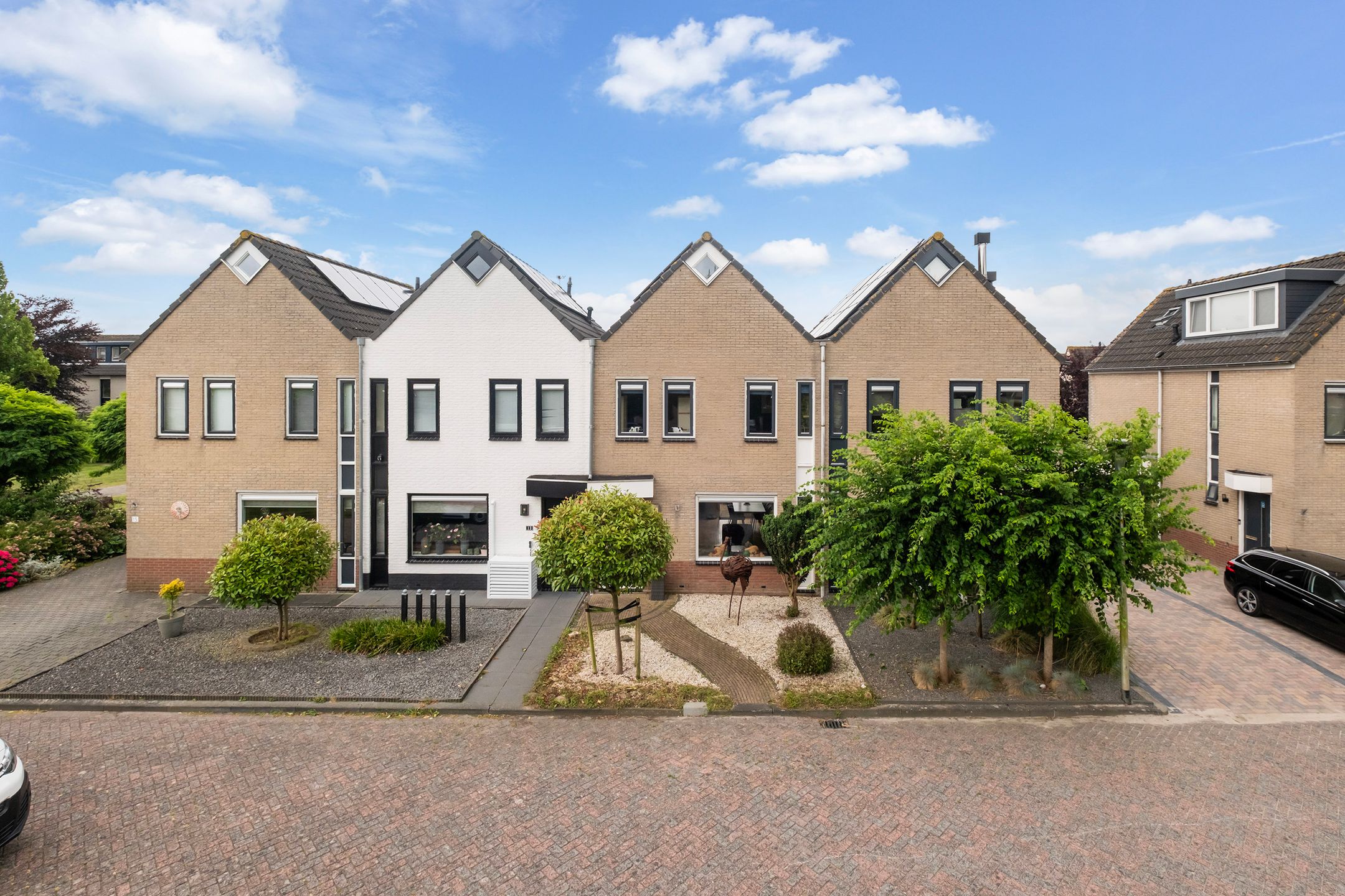 Rijnse Gulden 11 