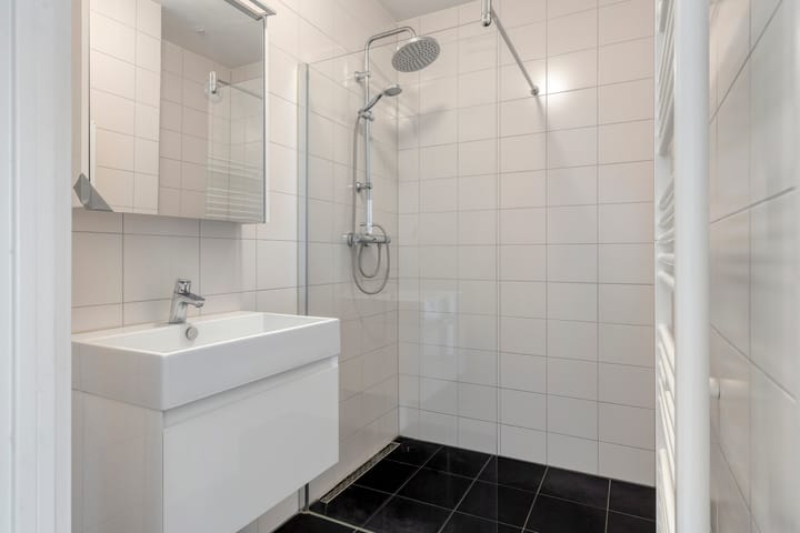 Foto 4 van Westervenne 223