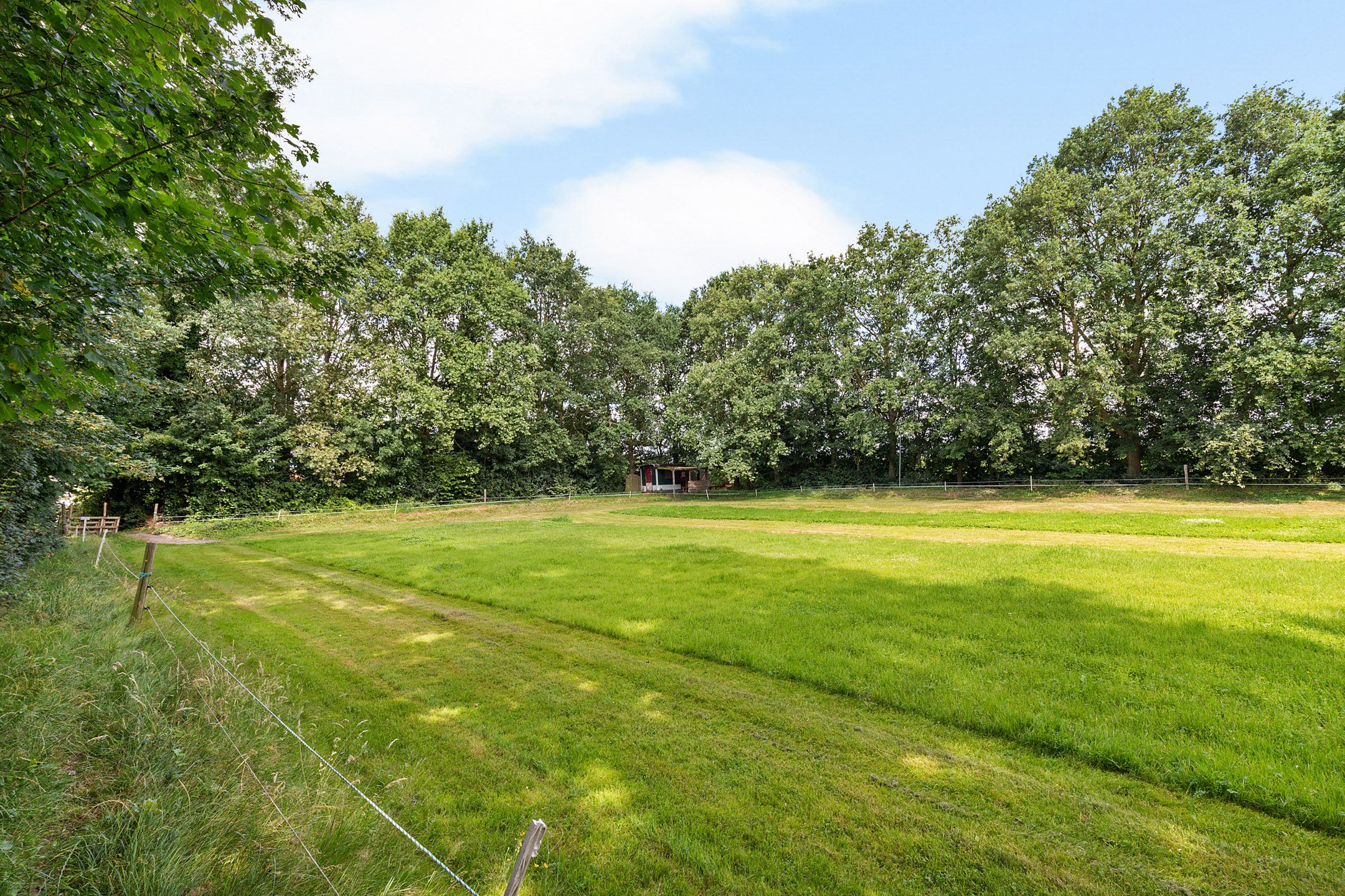 Photo 45 of De Greiden 34