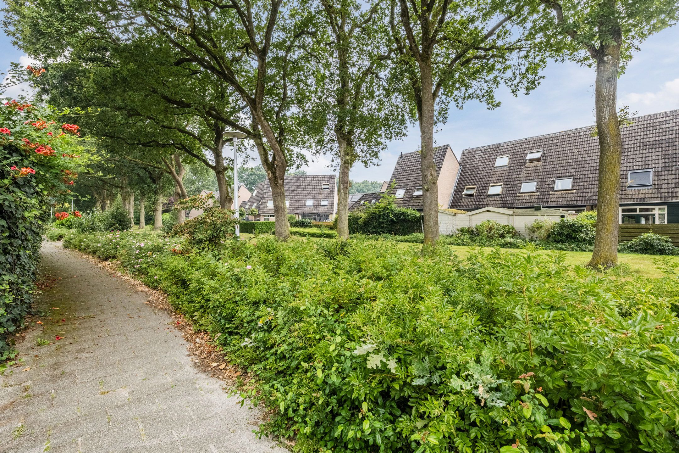 Foto 48 van Mantinghstraat 47
