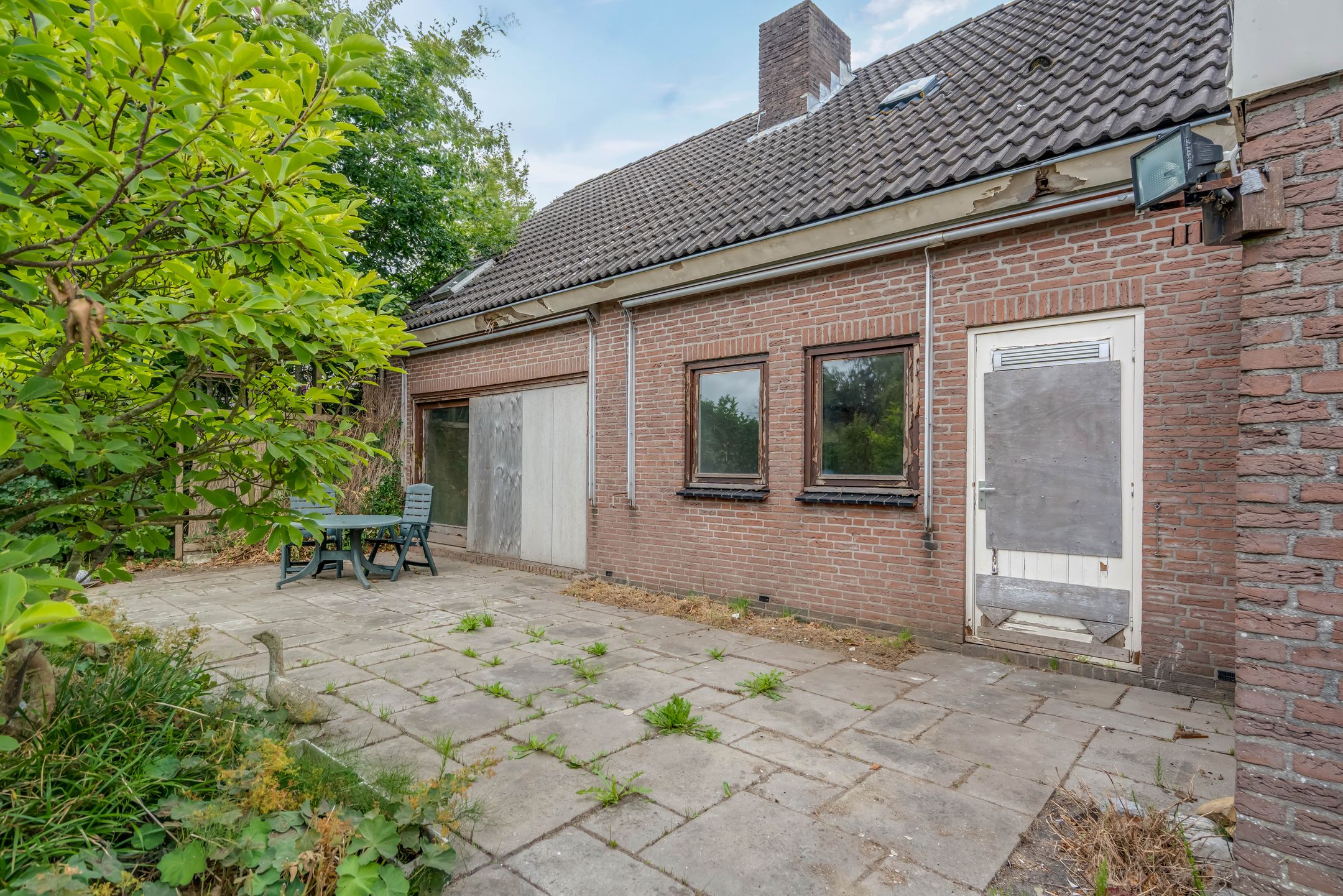 Photo 45 of de Rippert 46