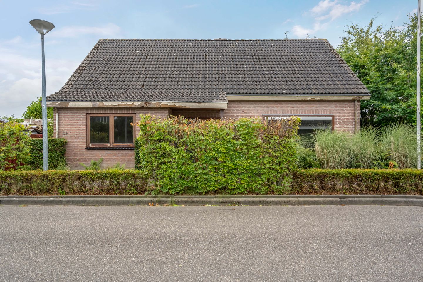 Photo 20 of de Rippert 46