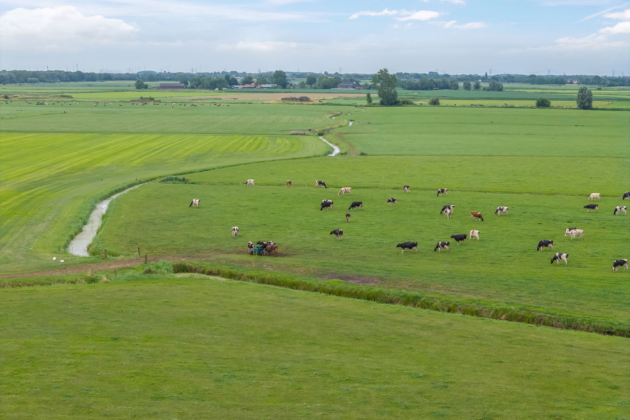 Photo 57 of de Rippert 46