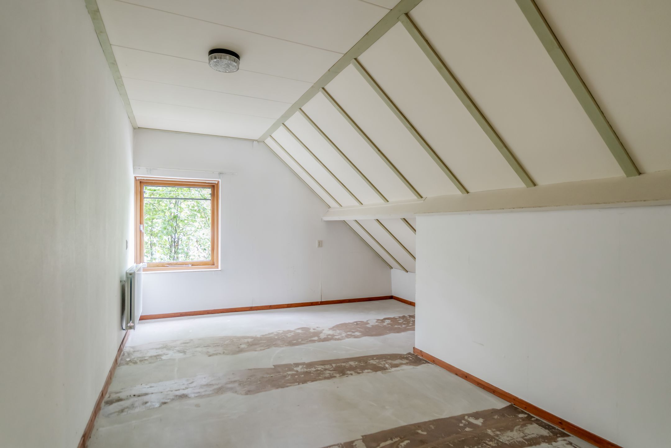Photo 9 of de Rippert 46