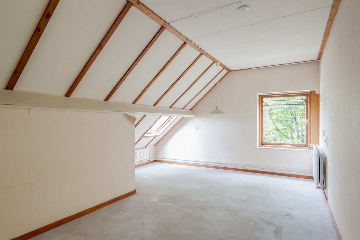 Photo 10 of de Rippert 46