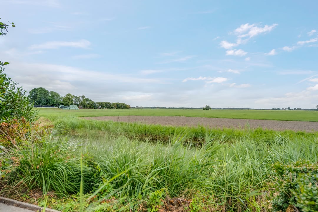 Photo 53 of de Rippert 46