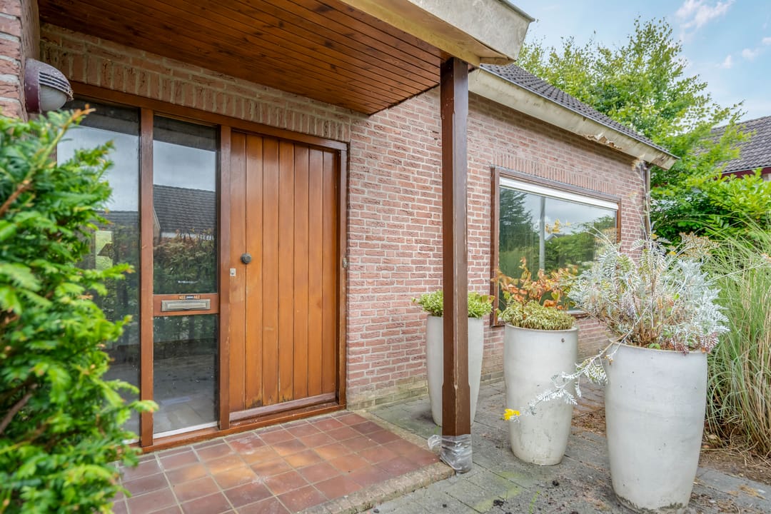 Photo 22 of de Rippert 46