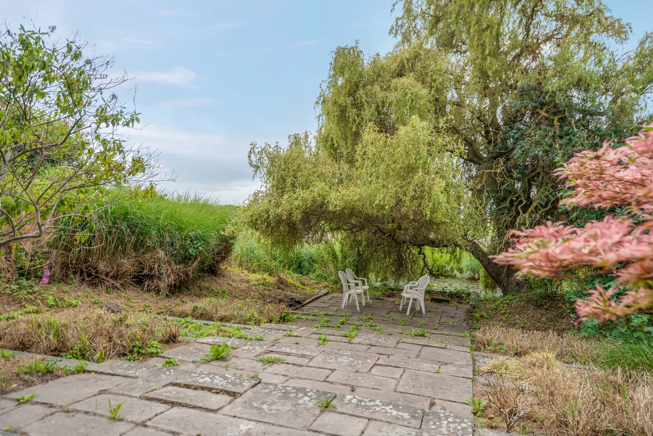 Photo 48 of de Rippert 46