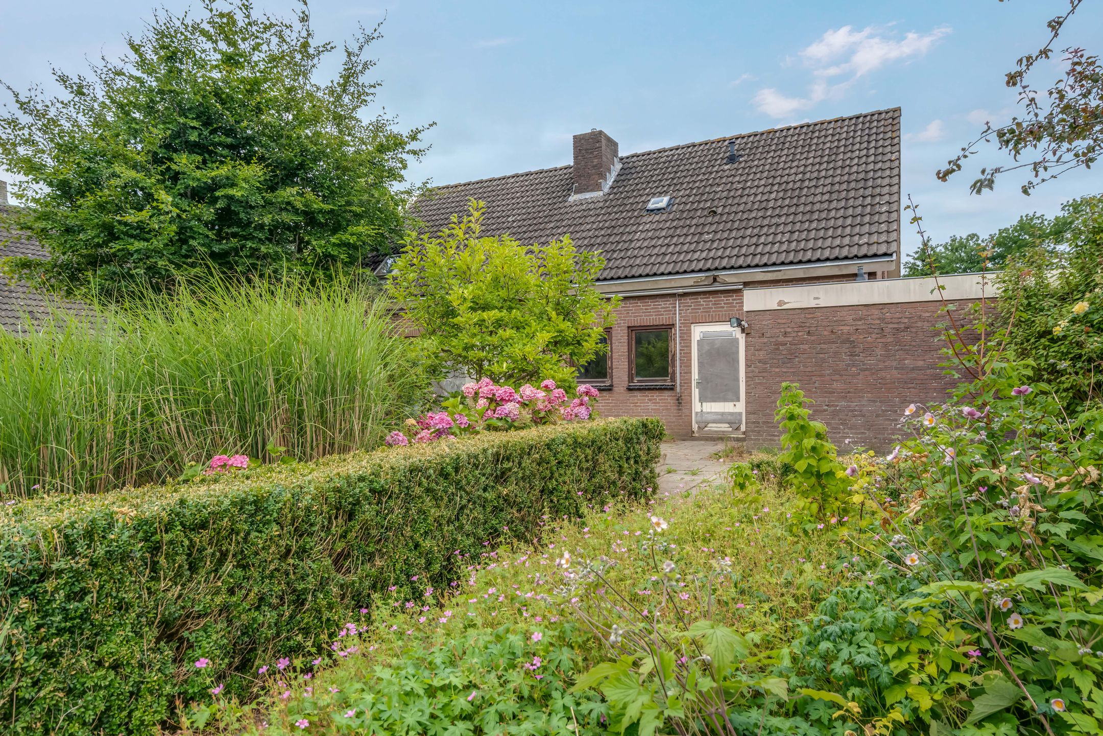Photo 54 of de Rippert 46