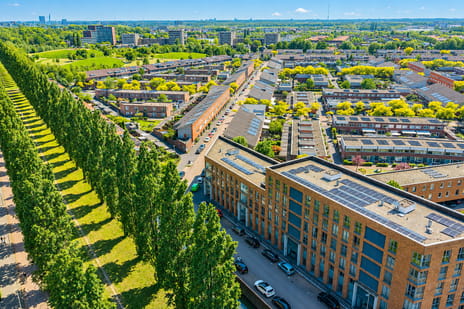 Korianderstraat thumbnail