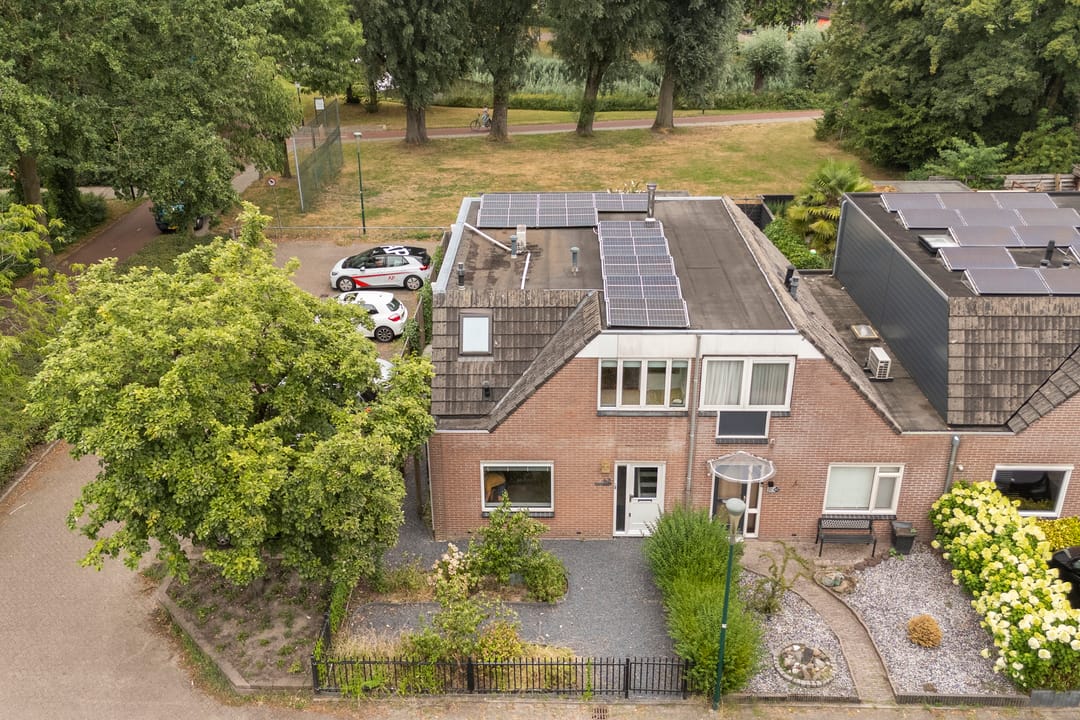 Foto 1 van Muurzwaluw 42