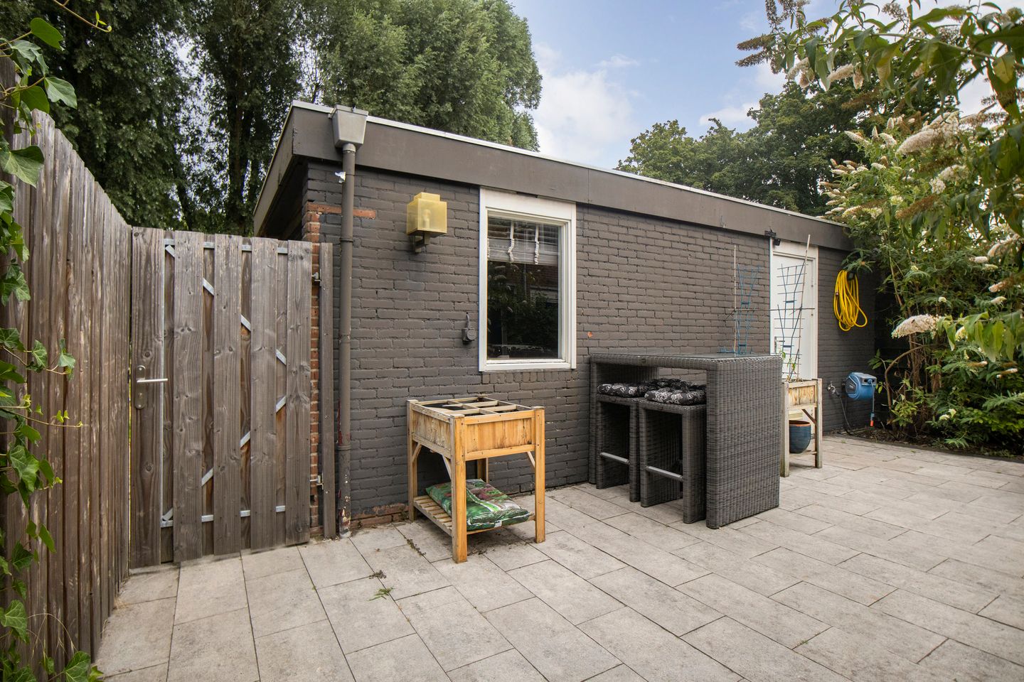 Foto 44 van Muurzwaluw 42