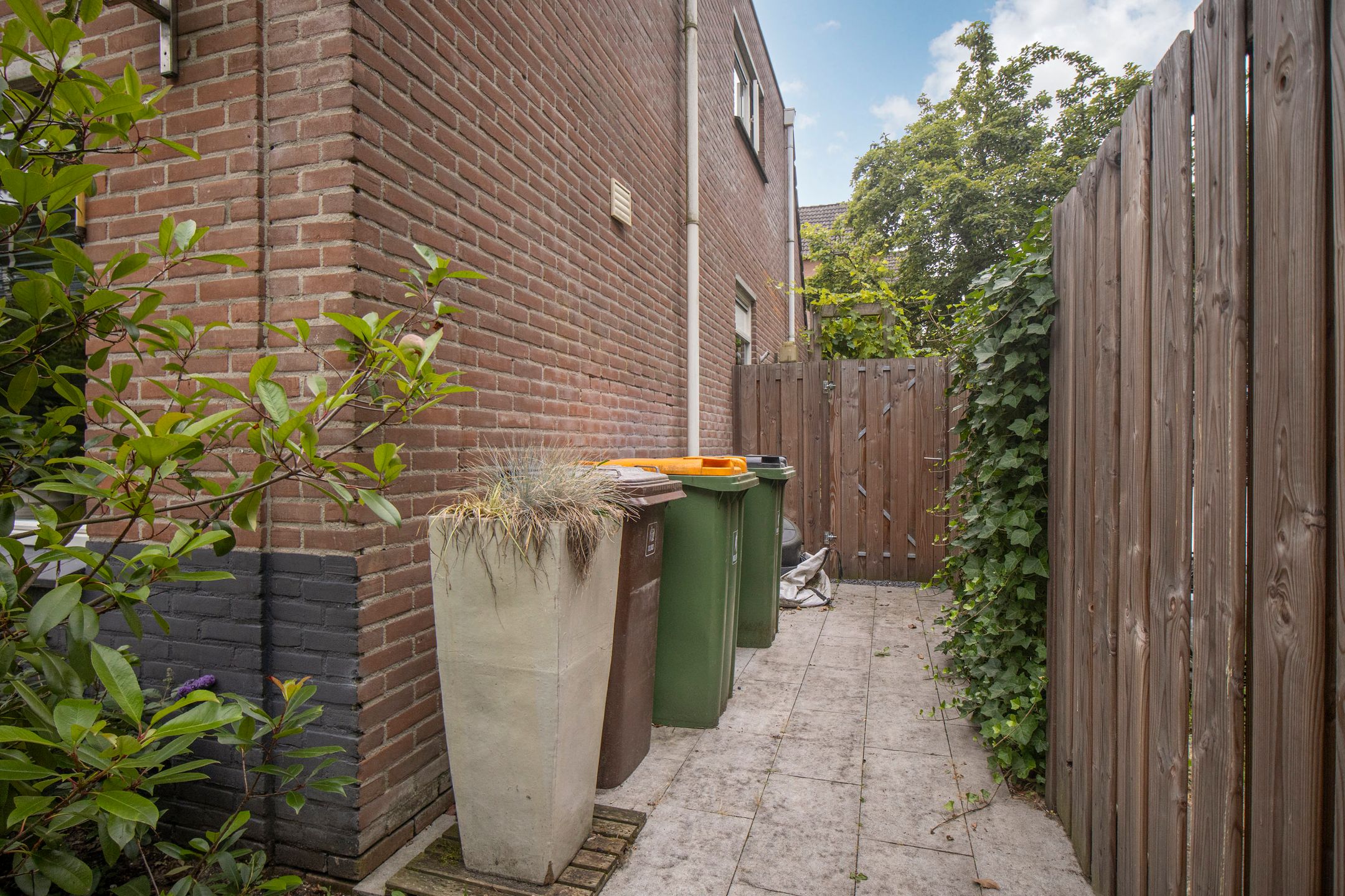 Foto 42 van Muurzwaluw 42