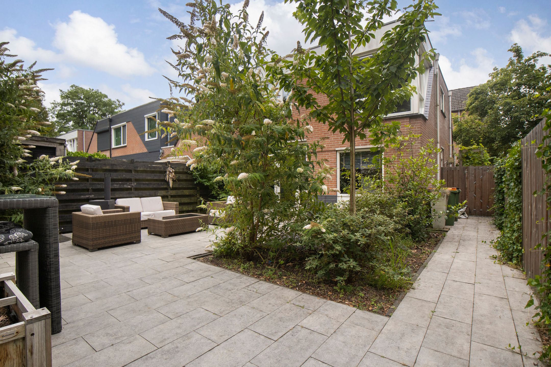 Foto 45 van Muurzwaluw 42