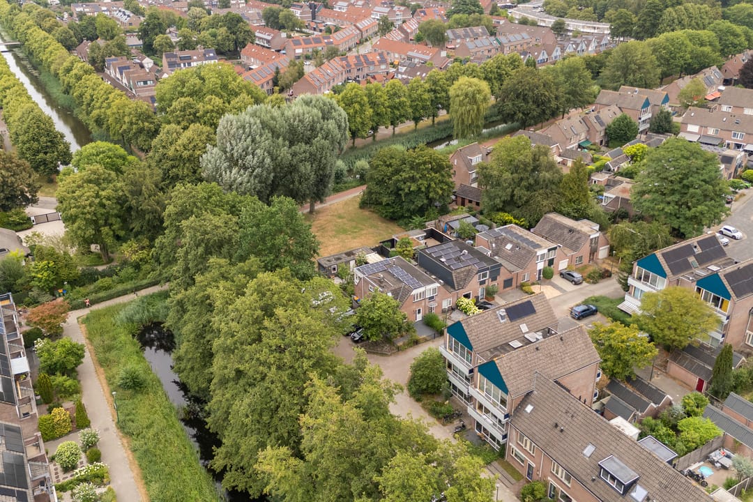 Foto 58 van Muurzwaluw 42