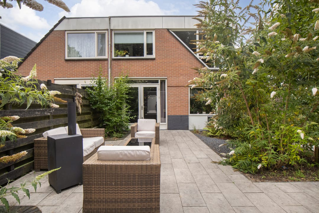 Foto 46 van Muurzwaluw 42
