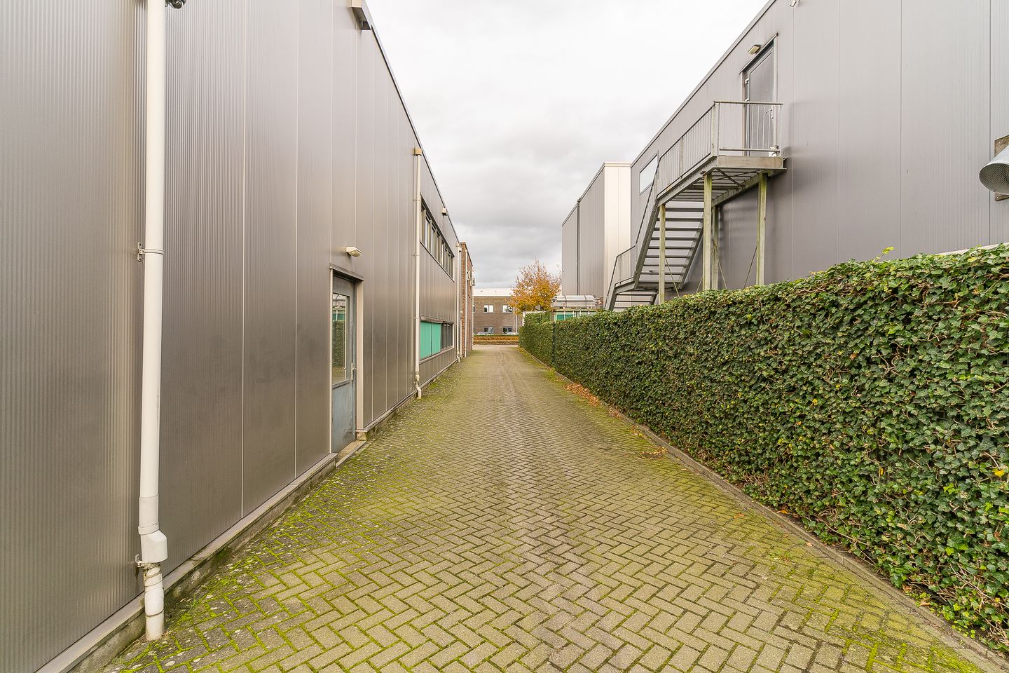 View photo 2 of Meeboerserf 1