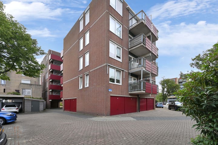 Buis 91