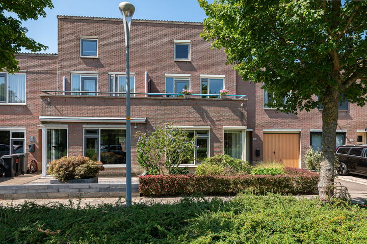 Foto 4 van Haya van Somerensingel 143