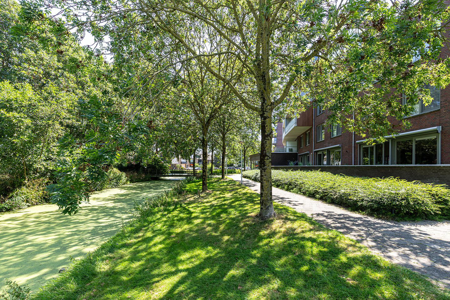 Foto 40 van Groen v Prinstererstraat 131