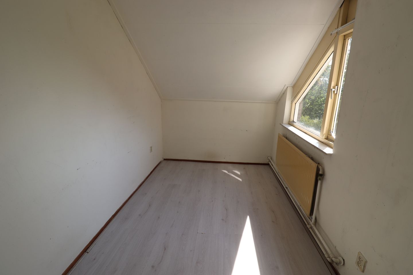 Photo 10 of Punter 45 16