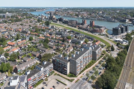 Tomatenplein thumbnail