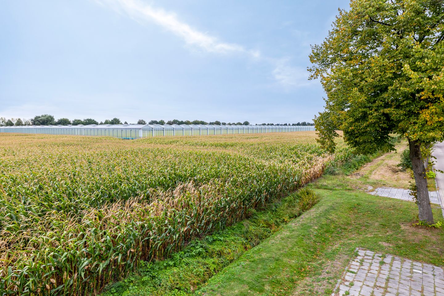 Foto 5 van Meester Janssenweg 17-E