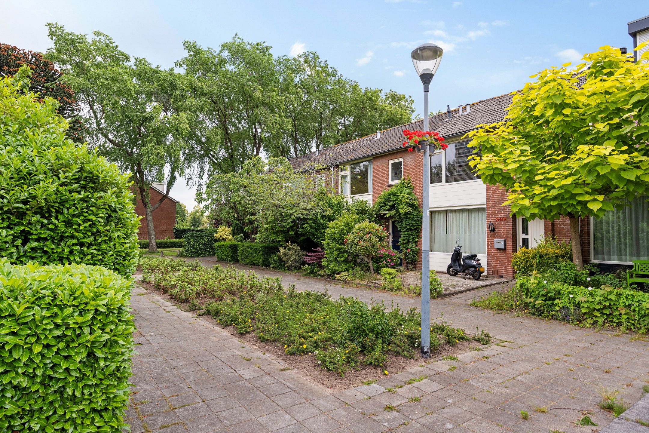 Photo 39 of Wilderen 342