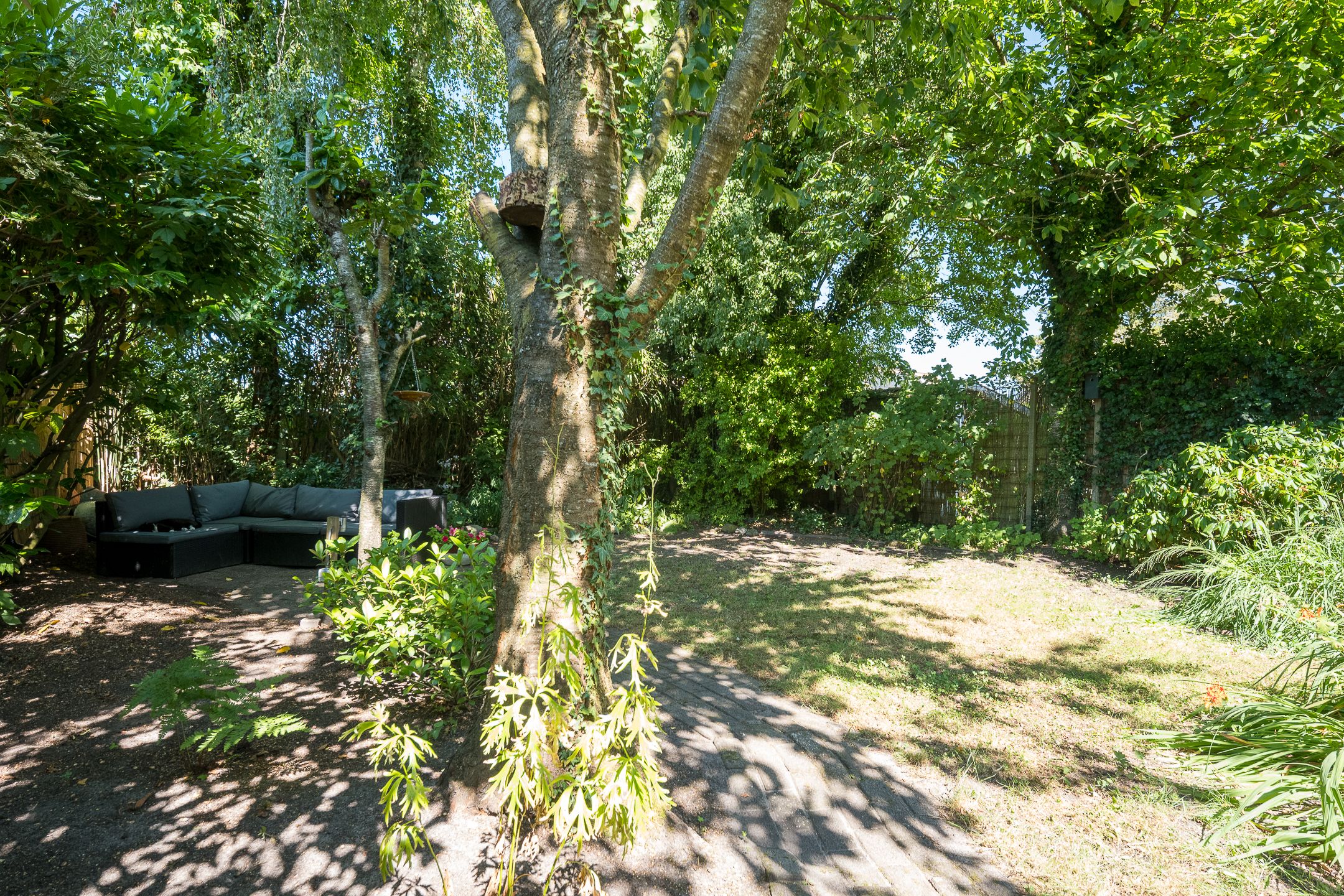 Photo 24 of Boerheem 25
