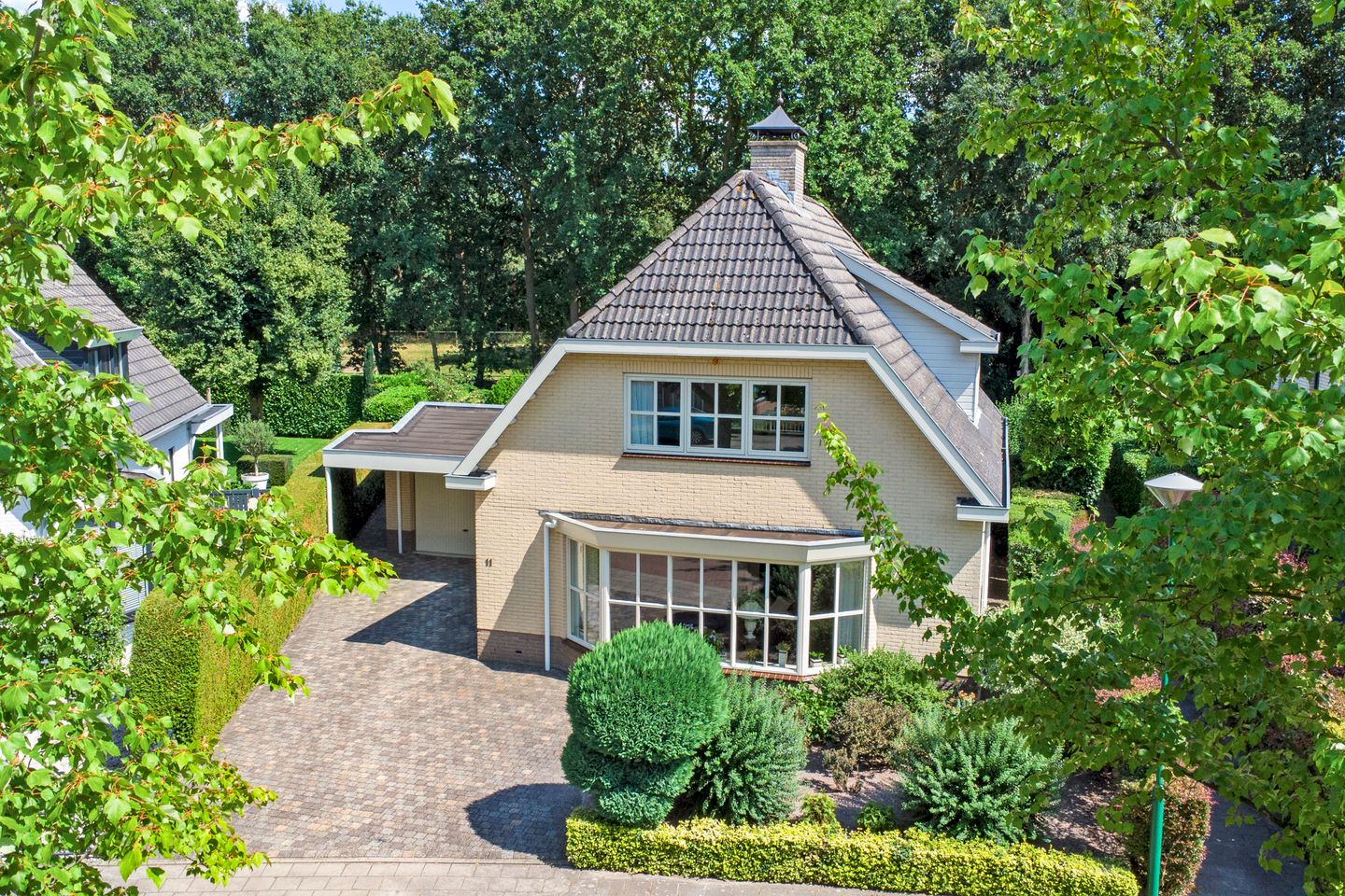 Foto 1 van Bilzekruid 11