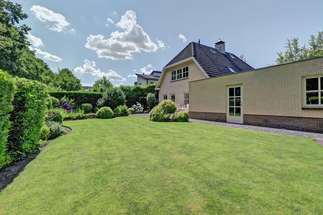 Foto 41 van Bilzekruid 11
