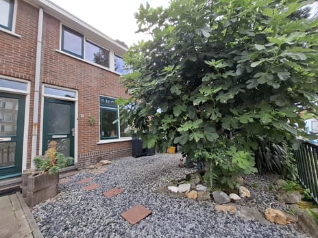 Verhulststraat thumbnail