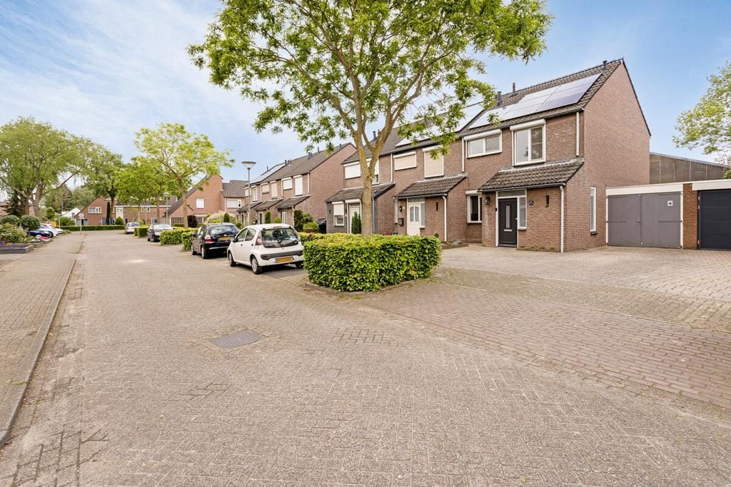 Foto 6 van Wolvepad 47