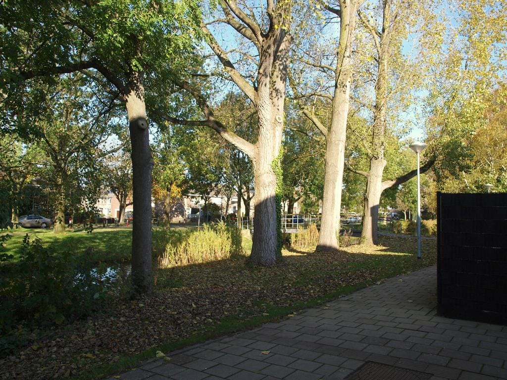 Foto 30 van Amstelstraat 17