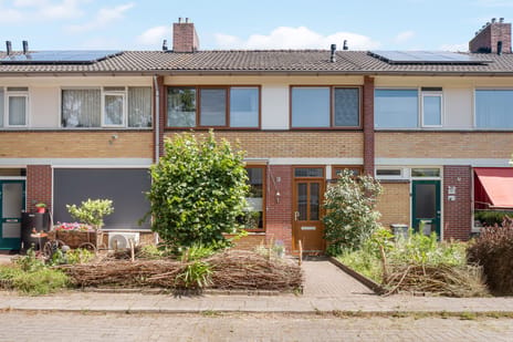 Paulus Potterstraat thumbnail