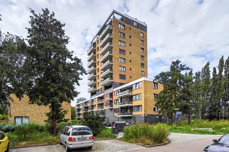 Hugo de Vriesstraat thumbnail