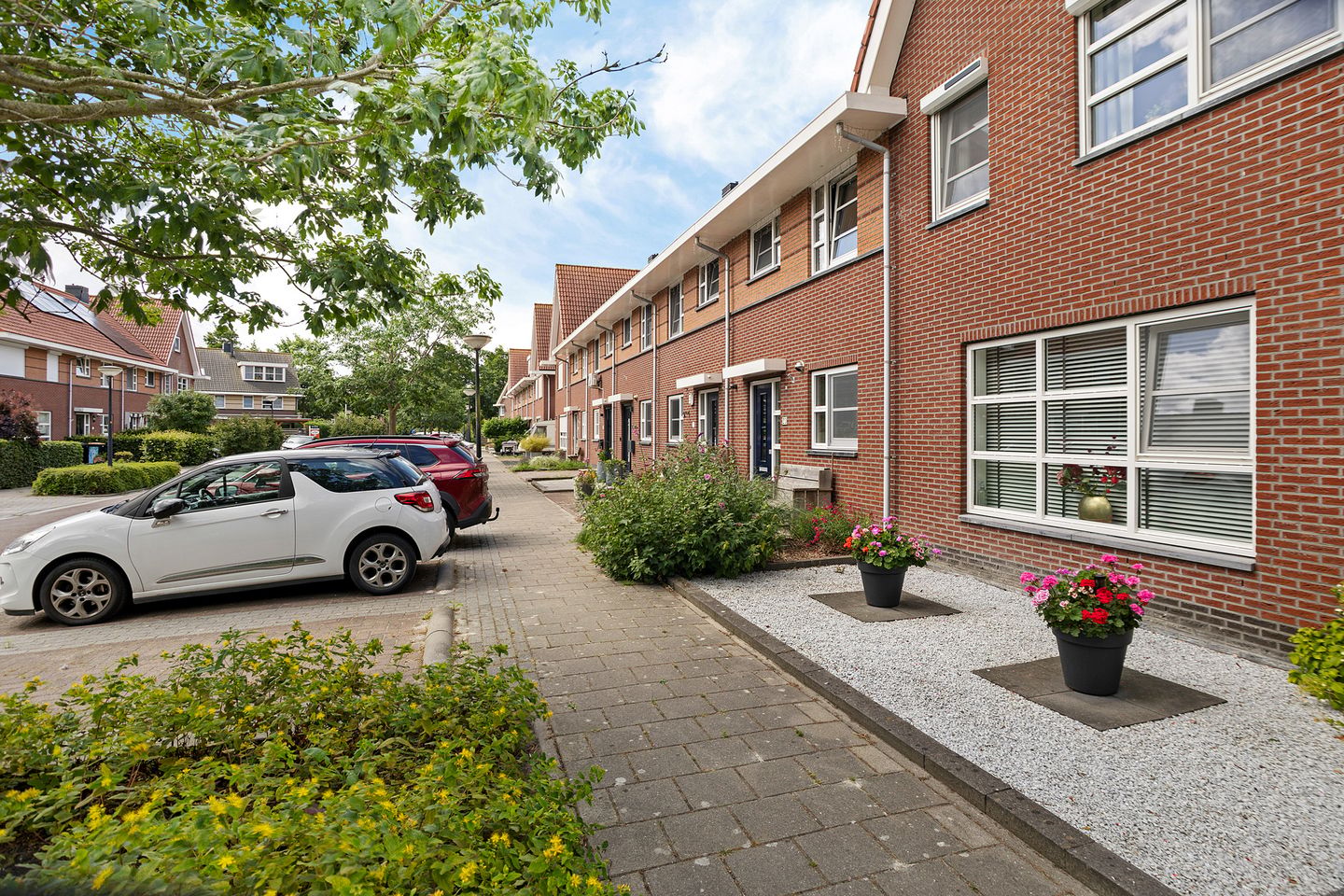 Foto 10 van Koningsspil 21
