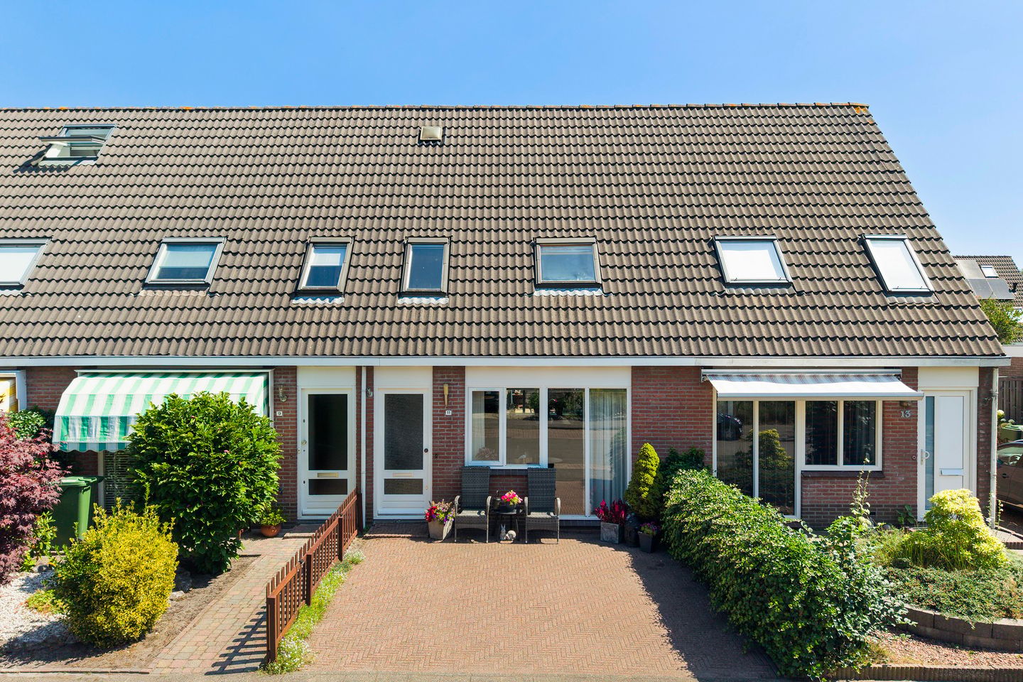 Foto 1 van Hanckemastins 11